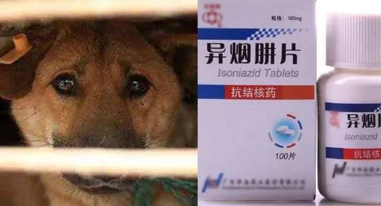 ⭐买探探大号
怎么买到纯手工号